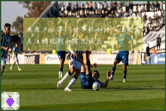 老用户分享：世界杯如何下注时需关注的规则和常见误区